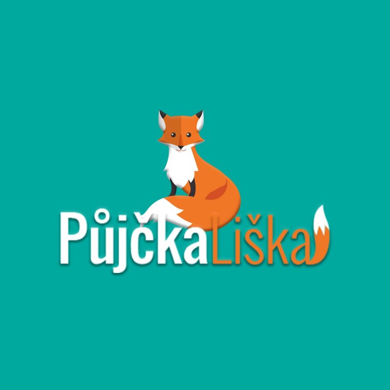 Pujcka online ihned horní bříza photo 6
