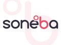 Vyplacení exekuce nemovitosti, konsolidace SONEBA, 608 174 900