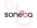 SONEBA - rychlé a levné vyplacení exekucí z nemovitosti, tel.: 608 174 900