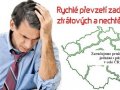 Zbavte se včas zadlužené firmy.